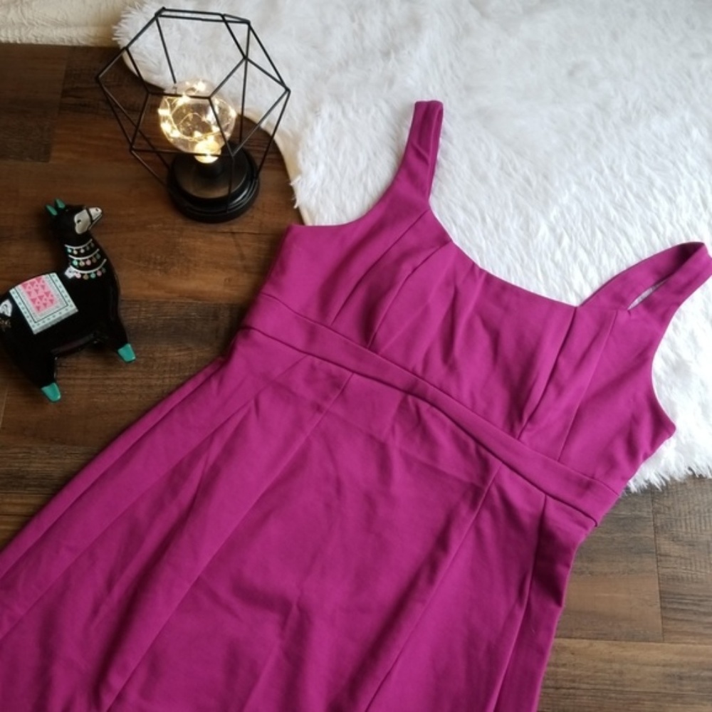 New York and Company Purple Dress Casual Work Sz 8